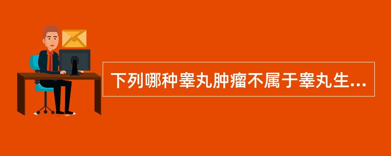 下列哪种睾丸肿瘤不属于睾丸生殖细胞肿瘤