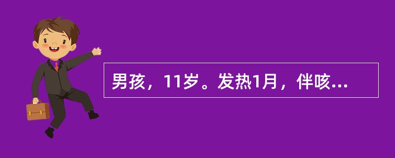 男孩，11岁。发热1月，伴咳嗽2周。体检：面色苍白，血红蛋白90g/L，白细胞30×1O<img border="0" style="width: 10px; he