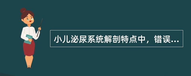 小儿泌尿系统解剖特点中，错误的是 ( )