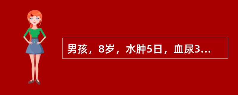 男孩，8岁，水肿5日，血尿3日，少尿2日入院。体检：颜面，双下肢明显水肿，烦躁，气促，呼吸34次/分，血压130/90mmHg，心率120次/分，两肺底少许湿啰音，肝肋下2cm，尿常规：蛋白(+)，红