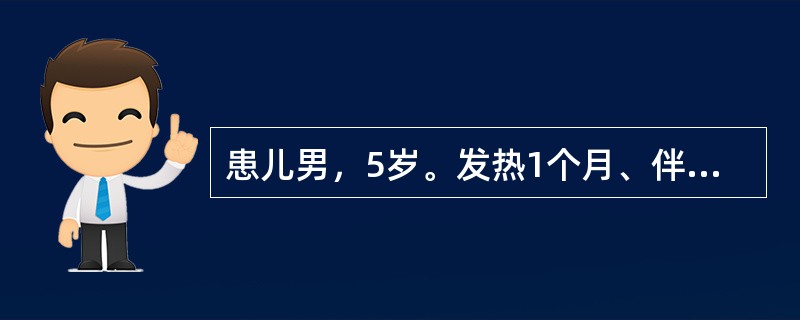 患儿男，5岁。发热1个月、伴双下肢疼痛一周入院。体检：体温38.5℃，面色苍白，下肢有少许散在出血点，浅表淋巴结易触及，如绿豆至黄豆大，心、肺无异常，肝肋下2cm，脾无肿大，双下肢无明显关节红肿，神经