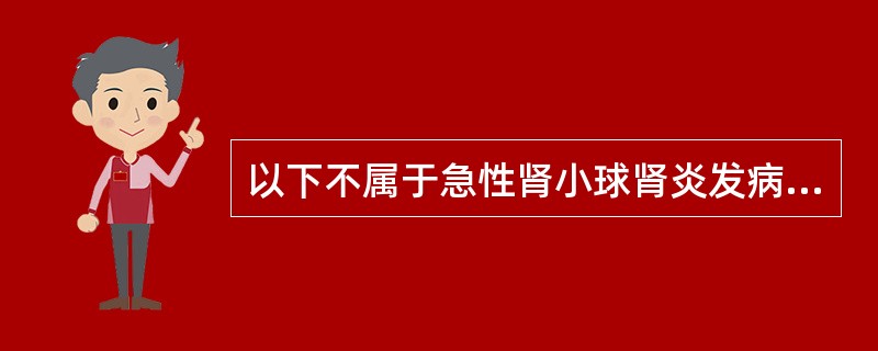 以下不属于急性肾小球肾炎发病机制的有