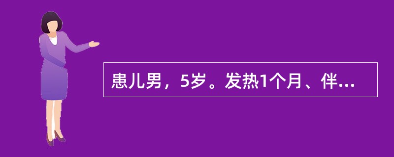 患儿男，5岁。发热1个月、伴双下肢疼痛一周入院。体检：体温38.5℃，面色苍白，下肢有少许散在出血点，浅表淋巴结易触及，如绿豆至黄豆大，心、肺无异常，肝肋下2cm，脾无肿大，双下肢无明显关节红肿，神经