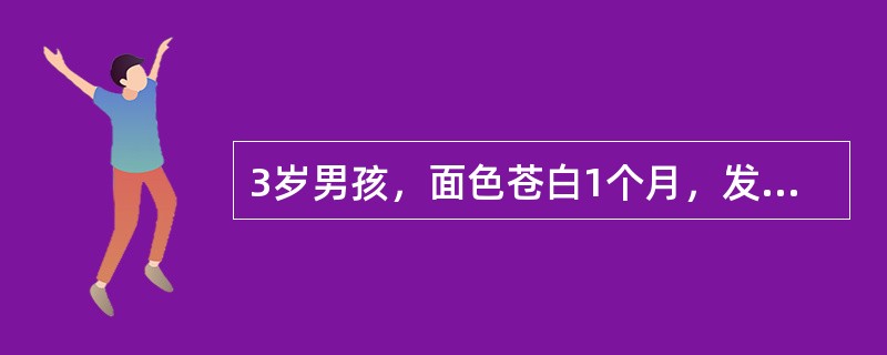 3岁男孩，面色苍白1个月，发热2周，皮肤淤斑、淤点1周。查体：皮肤黏膜苍白，双下肢可见淤斑，双颈后各2个淋巴结花生米大小，心、肺正常，肝肋下3cm，脾肋下3cm。血常规：WBC20×10<img