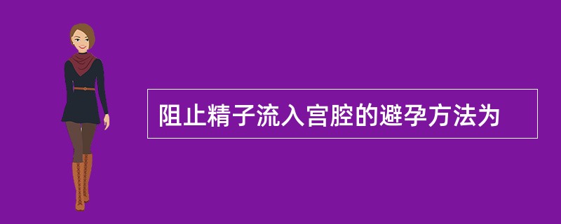 阻止精子流入宫腔的避孕方法为