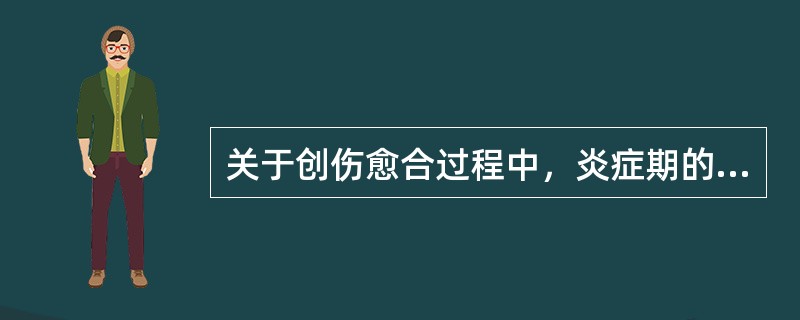 关于创伤愈合过程中，炎症期的描述不正确的是