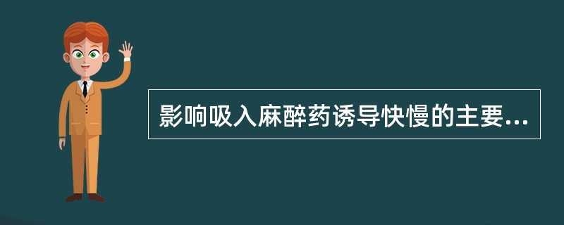 影响吸入麻醉药诱导快慢的主要因素是