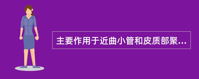 主要作用于近曲小管和皮质部聚合管的利尿药是()