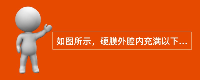 如图所示，硬膜外腔内充满以下什么组织()<img border="0" style="width: 358px; height: 269px;" src=