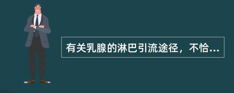 有关乳腺的淋巴引流途径，不恰当的是