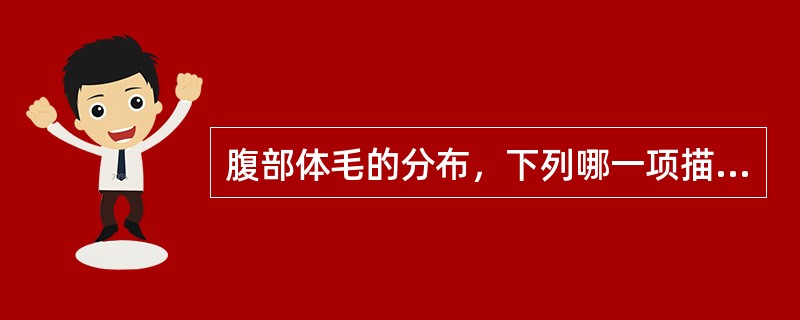 腹部体毛的分布，下列哪一项描述是错误的