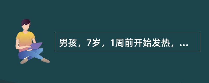 男孩，7岁，1周前开始发热，全身不适，食欲下降，大便干结，轻度腹胀，近2日轻咳无痰。体检：体温38.9℃，神志清，软弱，心脏无异常，两肺呼吸音略粗，肝肋下2cm，脾肋下5cm，无压痛。血常规：白细胞数