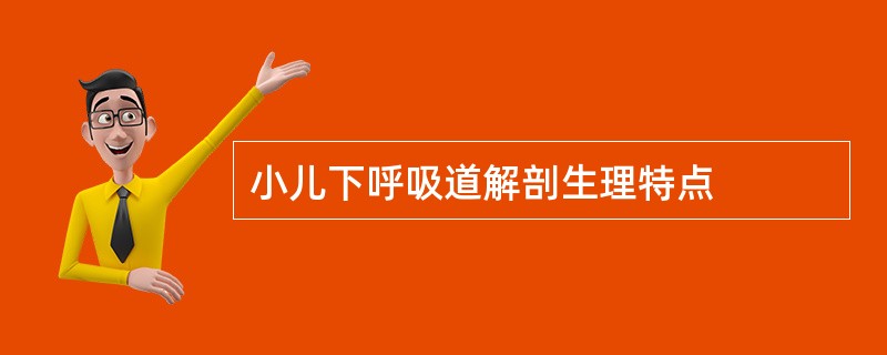 小儿下呼吸道解剖生理特点