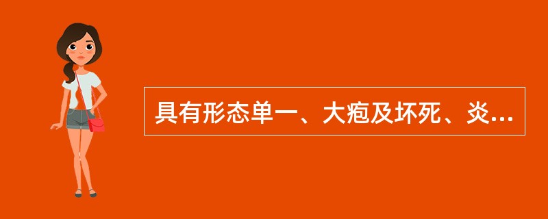 具有形态单一、大疱及坏死、炎症较重表现的是