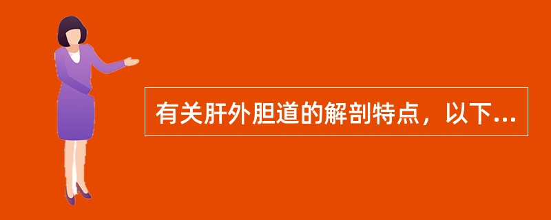 有关肝外胆道的解剖特点，以下哪项是错误的