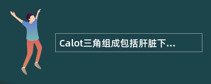 Calot三角组成包括肝脏下缘、胆囊管和