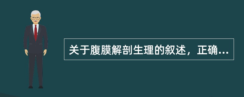 关于腹膜解剖生理的叙述，正确的是