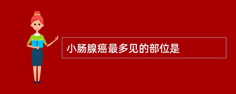 小肠腺癌最多见的部位是