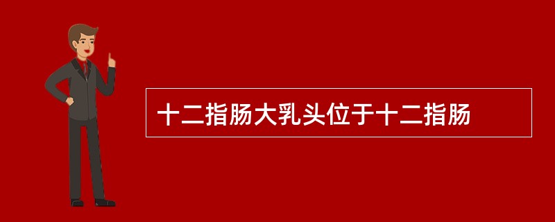 十二指肠大乳头位于十二指肠