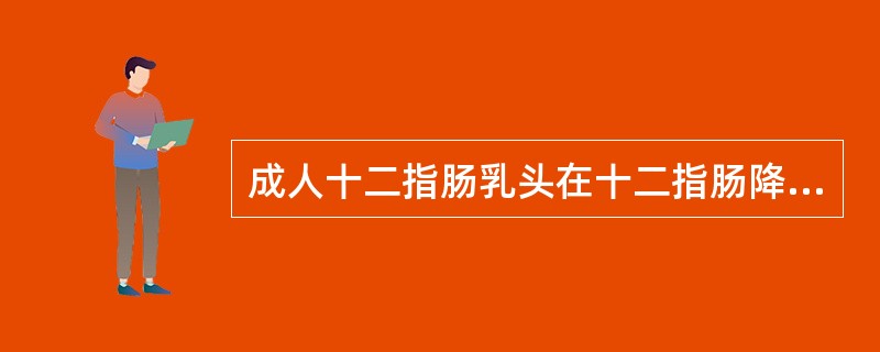 成人十二指肠乳头在十二指肠降部后内侧壁约距幽门