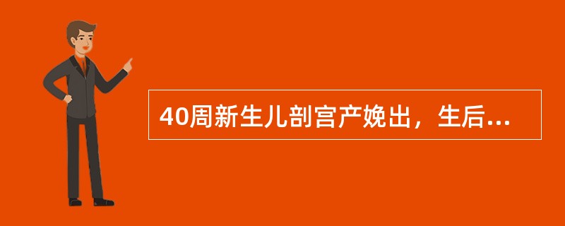 40周新生儿剖宫产娩出，生后5小时出现呼吸困难、呻吟，体检：双肺呼吸音低，可闻及干湿啰音，最可能的诊断是 ( )