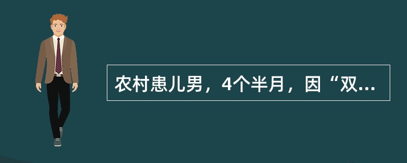 农村患儿男，4个半月，因“双下肢无力15d”来诊。35d前口服“脊髓灰质炎疫苗（糖丸）”，1周后出现发热伴鼻塞、流涕和腹泻。当地医院给予静脉输液1d，肌内注射“抗生素”4d后热退，其他症状随之缓解。1