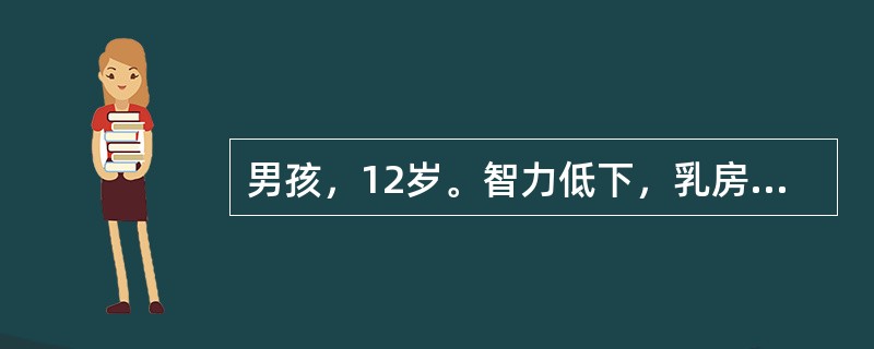 男孩，12岁。智力低下，乳房发育，学习困难，睾丸小而硬，临床拟诊为先天性睾丸发育不全综合征。其治疗原则下列哪项是不正确的 ( )