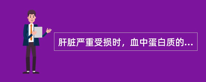 肝脏严重受损时，血中蛋白质的主要改变是