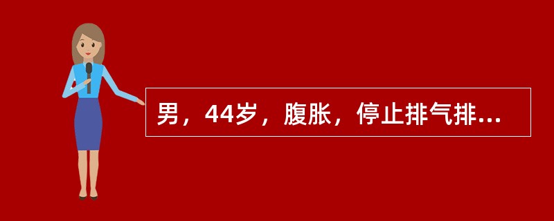 男，44岁，腹胀，停止排气排便3天，2年前因胆囊结石行胆囊切除术，查体：腹部叩鼓音，肠鸣音15次／分，有气过水音，为明确诊断，首选的检查方法为