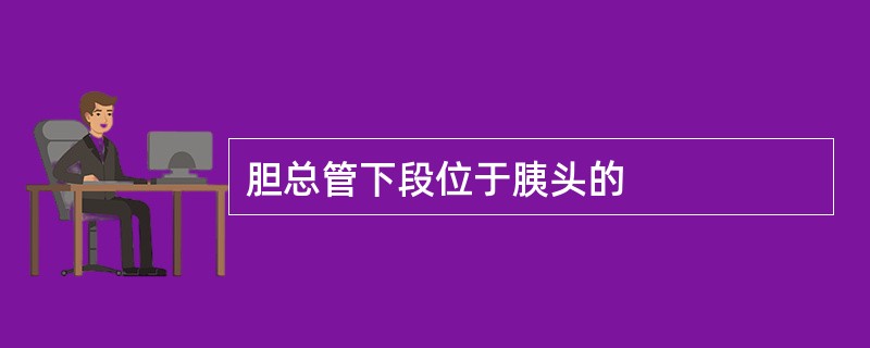 胆总管下段位于胰头的