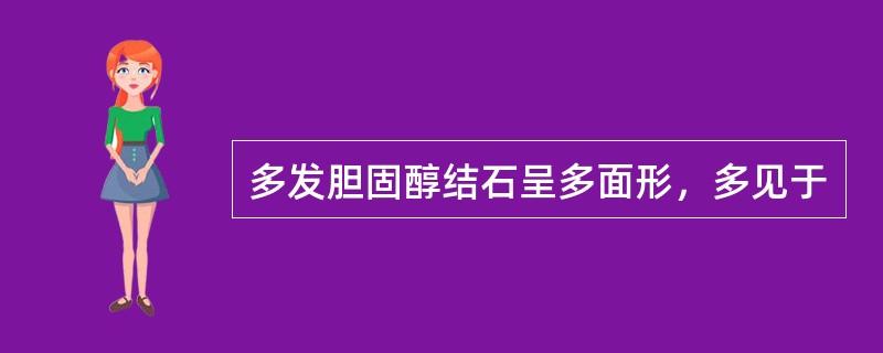 多发胆固醇结石呈多面形，多见于