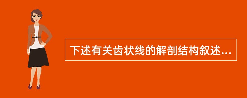 下述有关齿状线的解剖结构叙述中，哪一项是不恰当的