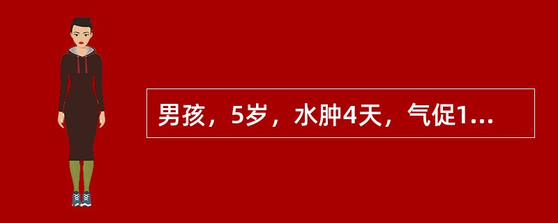 男孩，5岁，水肿4天，气促1天，伴尿少，尿色深。尿常规检查：RBC£«£«£¯高