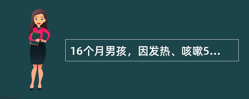 16个月男孩，因发热、咳嗽5天入院，诊断为肺炎，入院后持续高热，第3天病情突然加