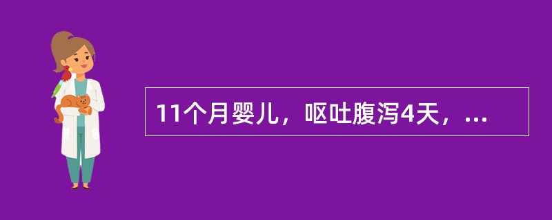 11个月婴儿，呕吐腹泻4天，已12小时无尿。体检：神志模糊，呼吸深快，面色苍白，