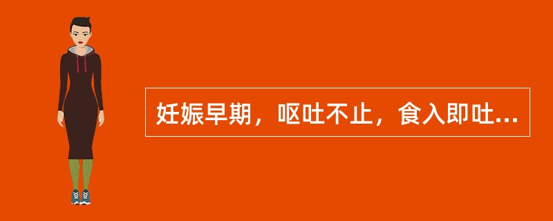 妊娠早期，呕吐不止，食入即吐，甚至呕吐带血样物，精神萎靡，形体消瘦，四肢无力，发