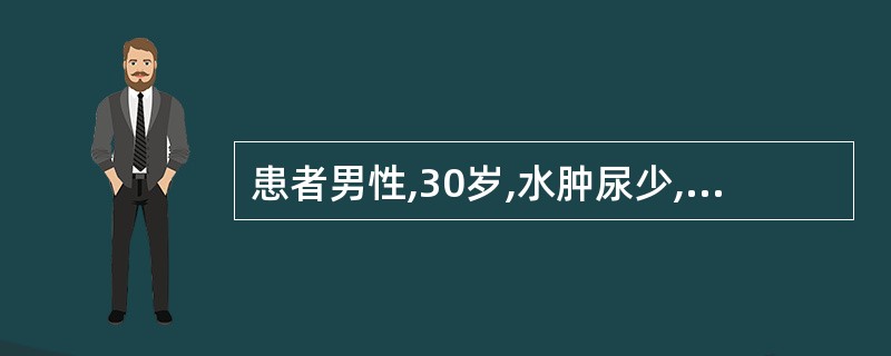 患者男性,30岁,水肿尿少,尿蛋白( ),红细胞5~10个£¯HP,白细胞2~3