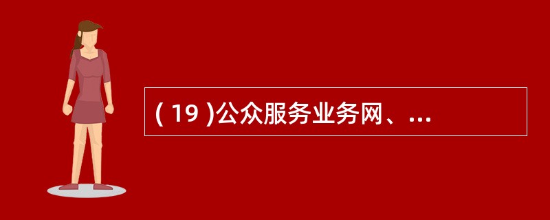 ( 19 )公众服务业务网、涉密政府办公网和非涉密政府办公网被称为政务_____