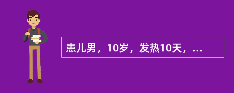 患儿男，10岁，发热10天，伴纳差、腹胀、便秘。体检：体温39.6℃，精神萎靡，