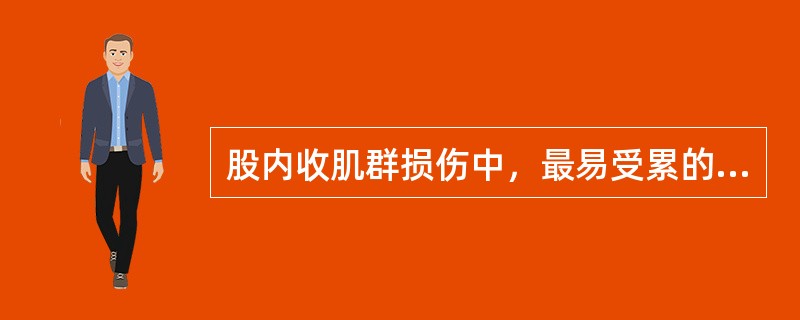 股内收肌群损伤中，最易受累的是( )。A、长收肌B、大收肌C、短收肌D、股薄肌E