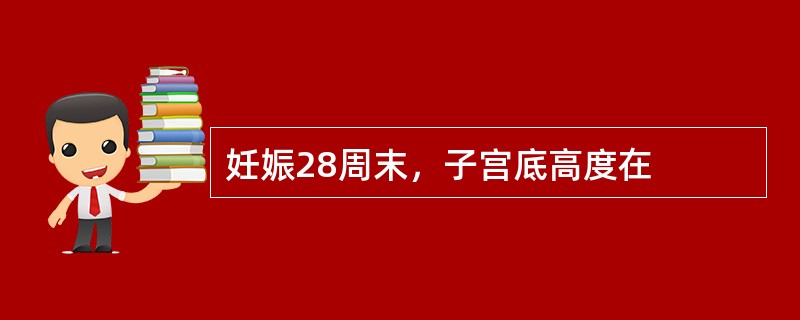 妊娠28周末，子宫底高度在