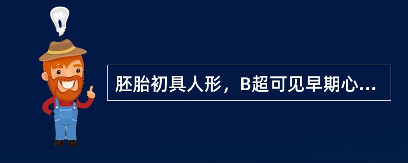 胚胎初具人形，B超可见早期心脏形成、搏动在（）