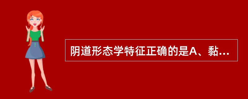 阴道形态学特征正确的是A、黏膜覆以复层柱状上皮B、平时阴道前后壁互相贴近C、上端