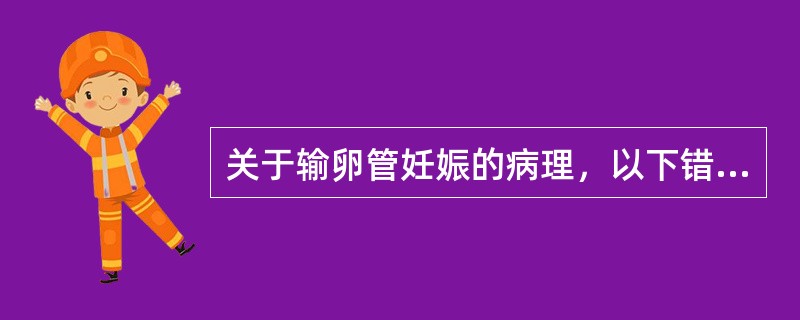 关于输卵管妊娠的病理，以下错误的是A、输卵管妊娠流产多见于8～12周输卵管壶腹部