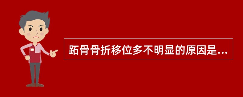 跖骨骨折移位多不明显的原因是( )。A、骨折多因间接暴力引起而导致移位不明显B、