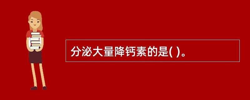 分泌大量降钙素的是( )。