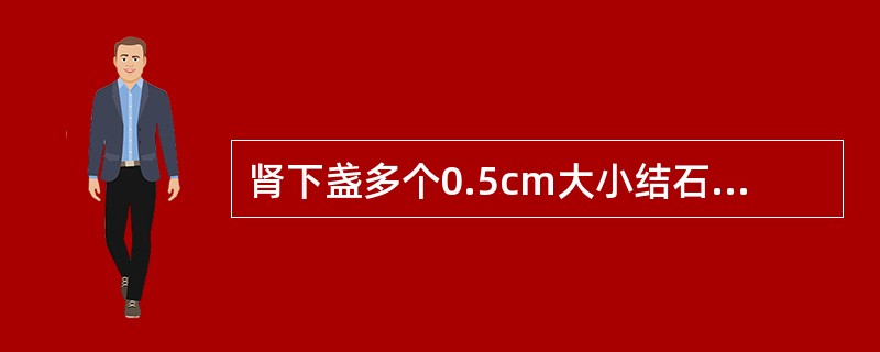 肾下盏多个0.5cm大小结石，可选择( )。