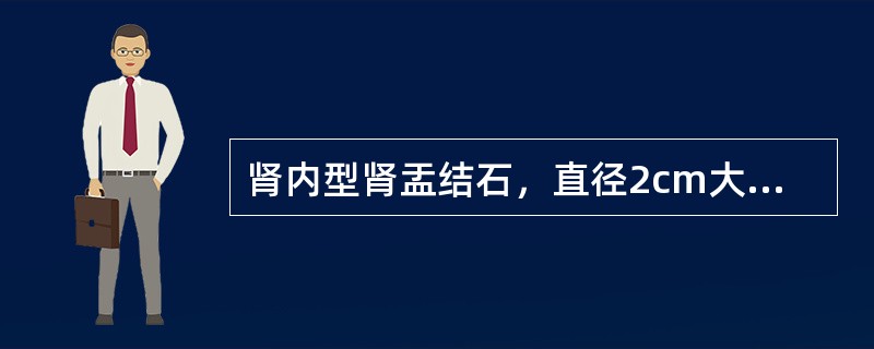 肾内型肾盂结石，直径2cm大小，可选择( )。