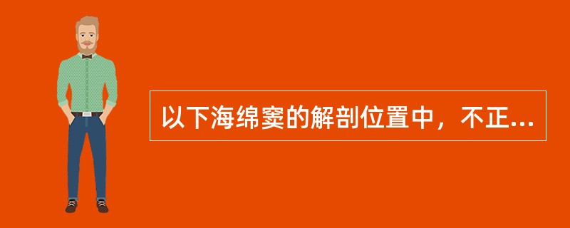 以下海绵窦的解剖位置中，不正确的描述是A、位于颅前窝靠近颅中窝的两侧B、前部至眶