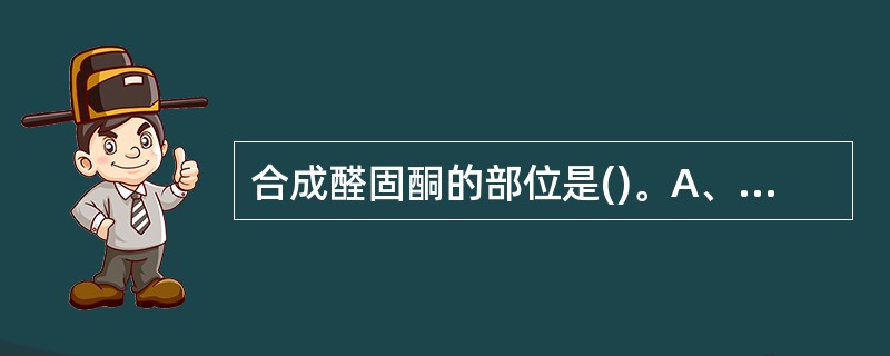 合成醛固酮的部位是()。A、肾上腺皮质球状带B、肾上腺皮质束状带C、肾上腺皮质网